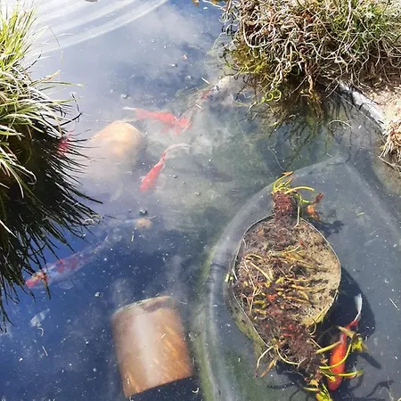 Πανσιόν La Menagerie *