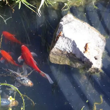 La Menagerie בית הארחה *