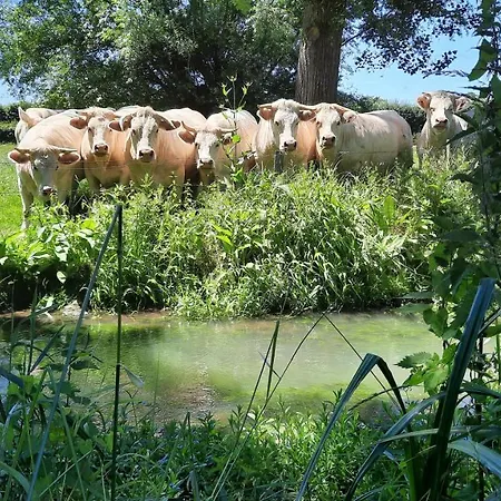 La Menagerie *
