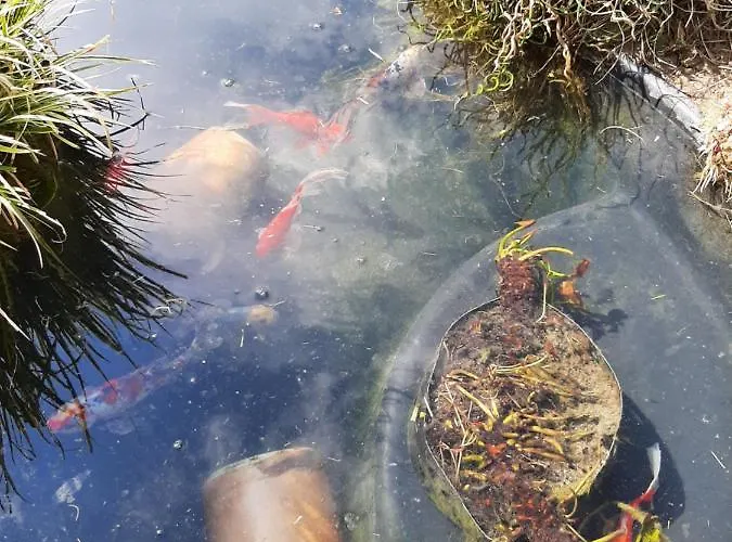 Guest house La Menagerie *