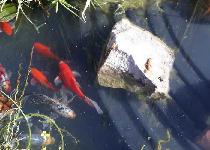 La Menagerie Pensjonat *